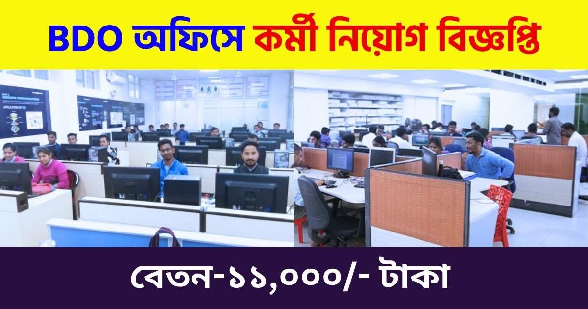 BDO Office Staff Recruitment 2024